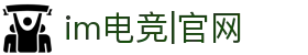 IM(股份有限公司)电竞-电子竞技平台